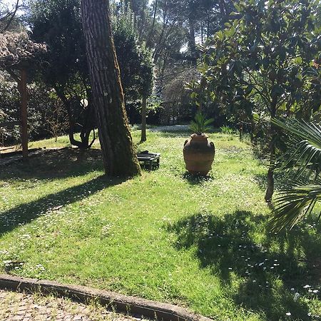 Old Town In The Green: Federico'S Apartment. فلورنس المظهر الخارجي الصورة