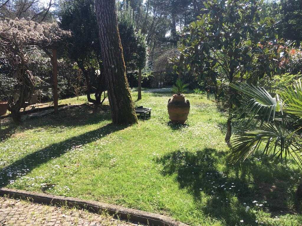 Old Town In The Green: Federico'S Apartment. فلورنس المظهر الخارجي الصورة