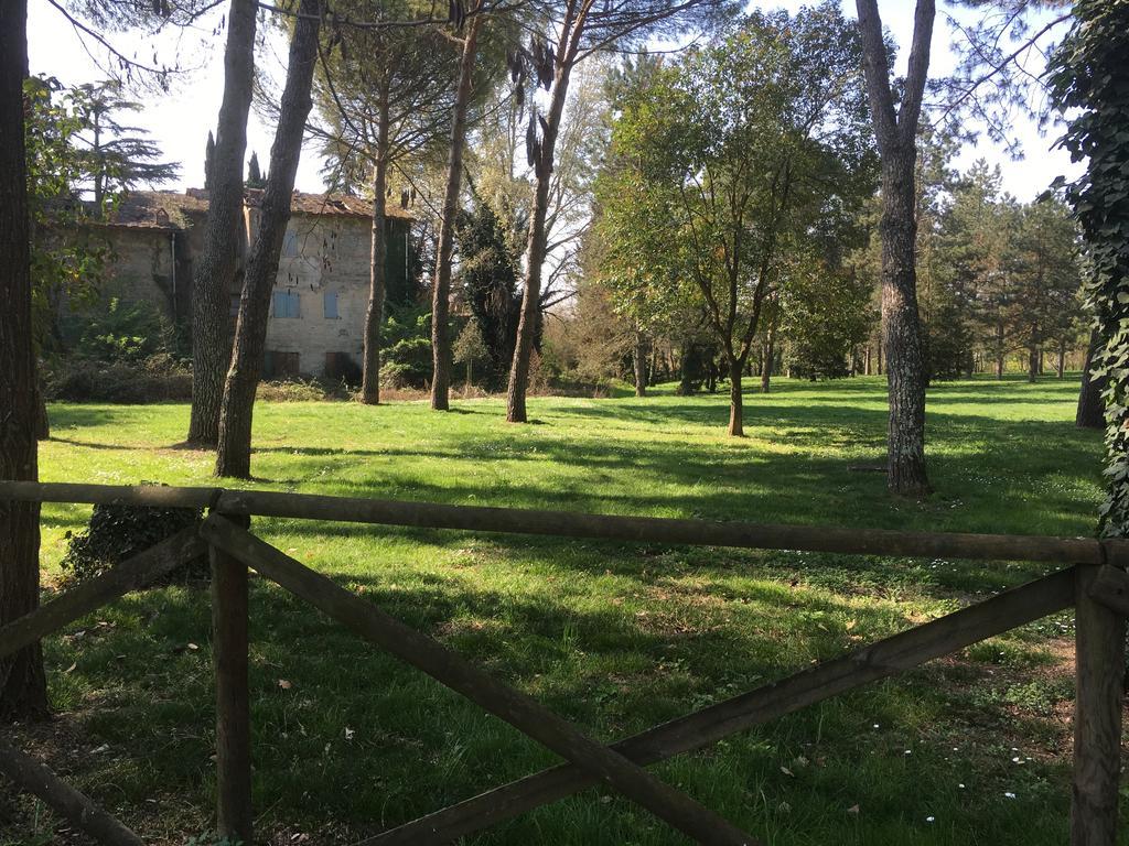 Old Town In The Green: Federico'S Apartment. فلورنس المظهر الخارجي الصورة