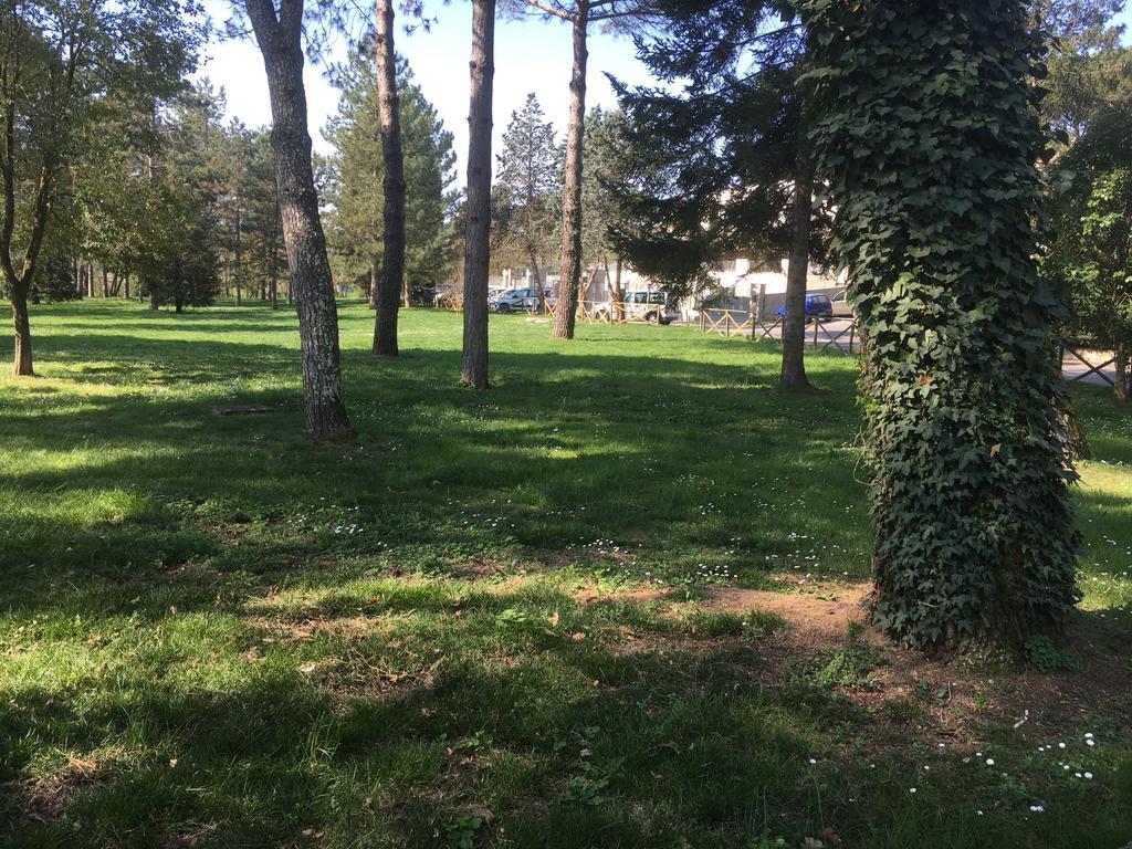 Old Town In The Green: Federico'S Apartment. فلورنس المظهر الخارجي الصورة