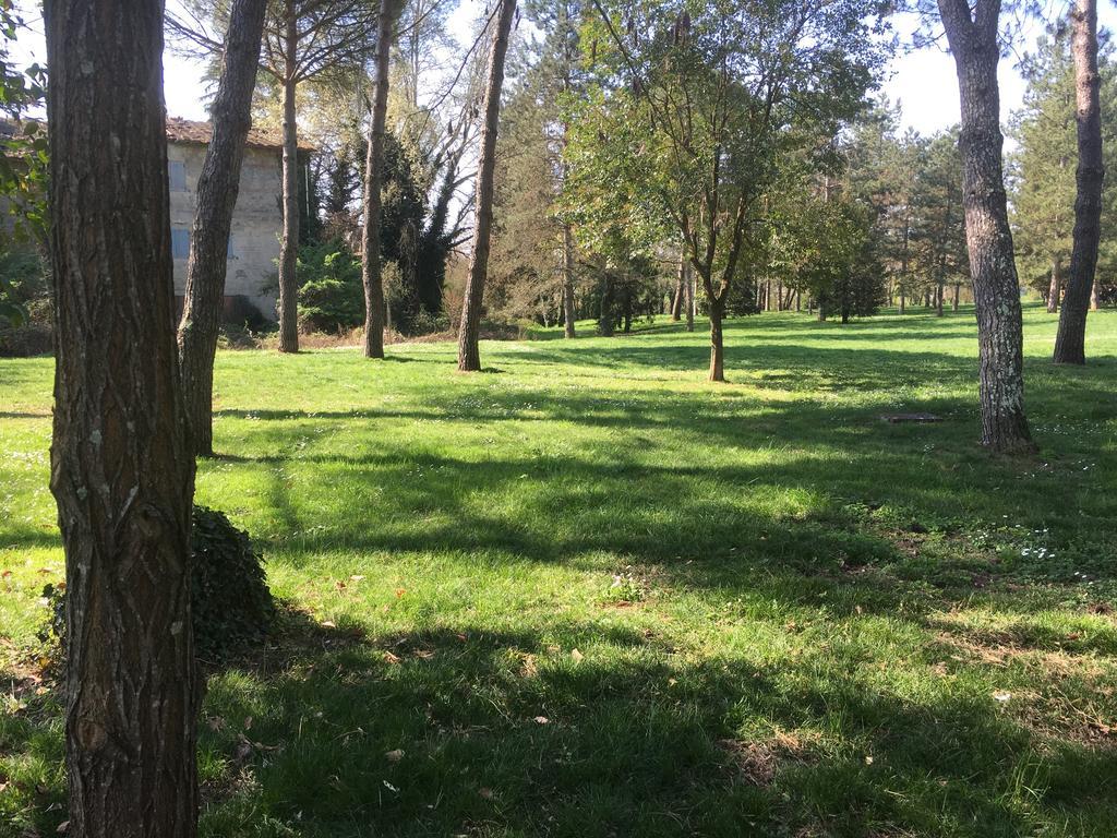 Old Town In The Green: Federico'S Apartment. فلورنس المظهر الخارجي الصورة